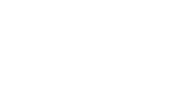 Sadie's Takeaway Logo